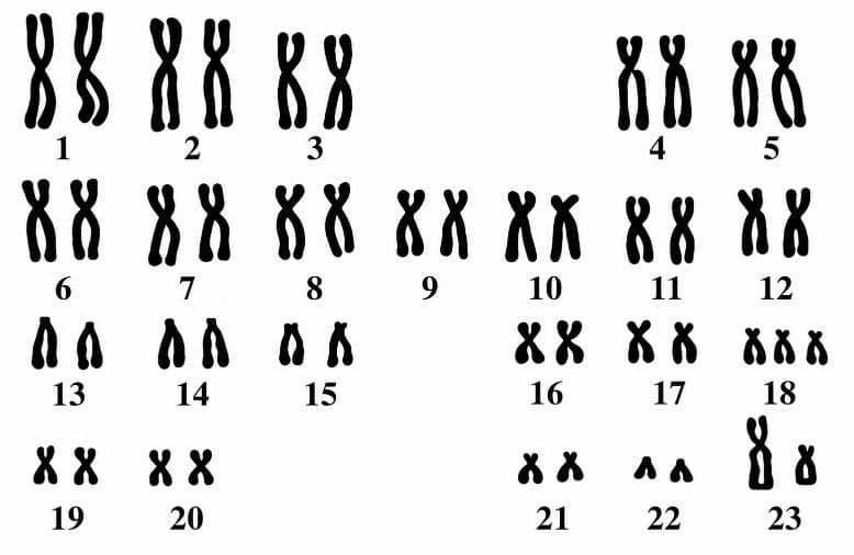 Ілюстрація до завдання 7